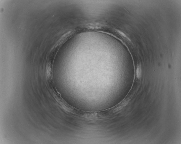 X0000085281444200703231755