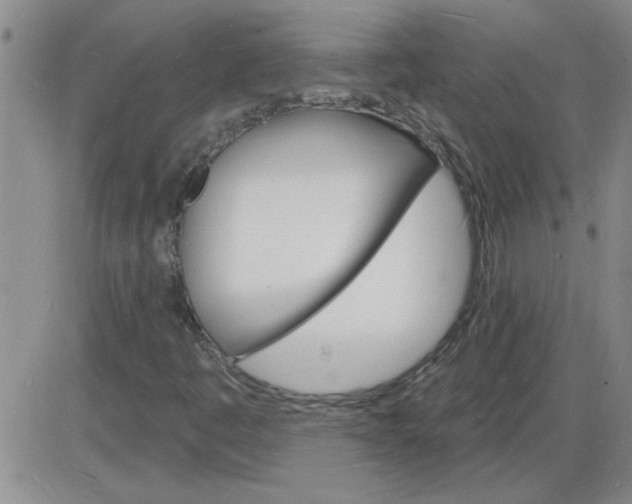 X0000085281445200703231755