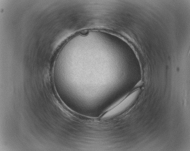 X0000085281452200703231755