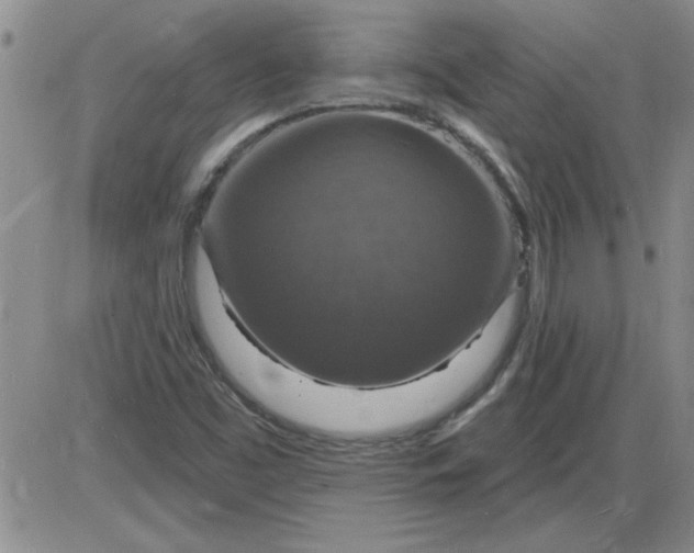 X0000085281453200703231755
