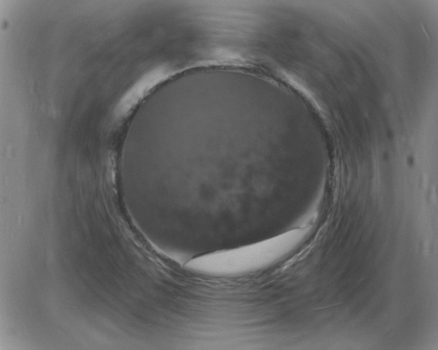 X0000085281455200703231755