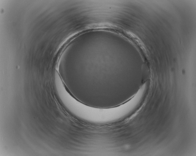 X0000085281457200703231755