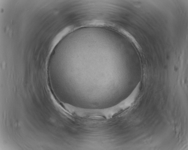 X0000085281475200703231754