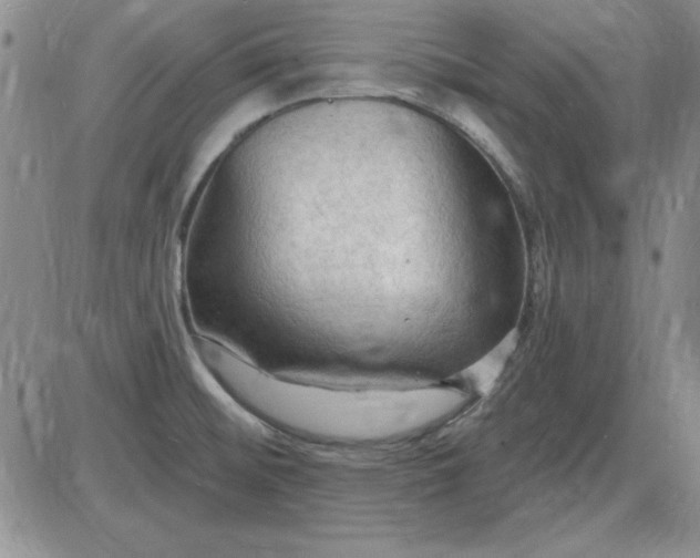 X0000085281476200703231754