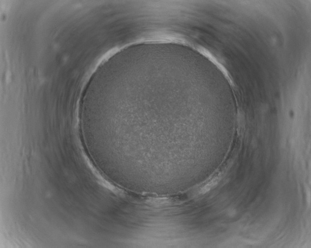 X0000085281477200703231754