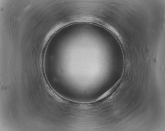 X0000085281480200703231754
