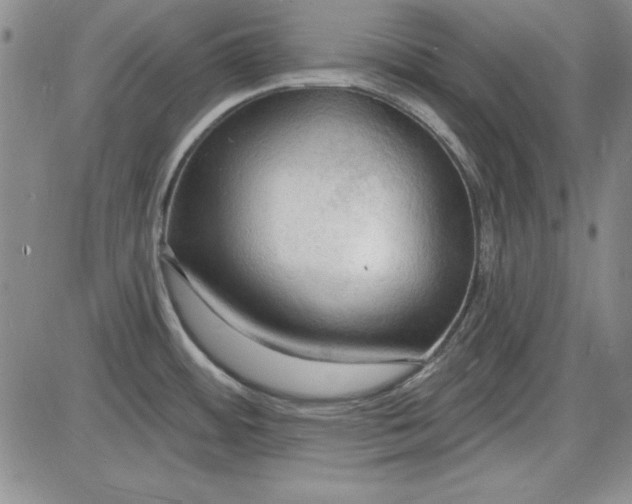 X0000085281484200703231754