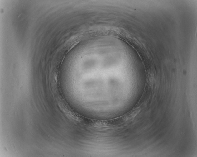 X0000085281489200703231753