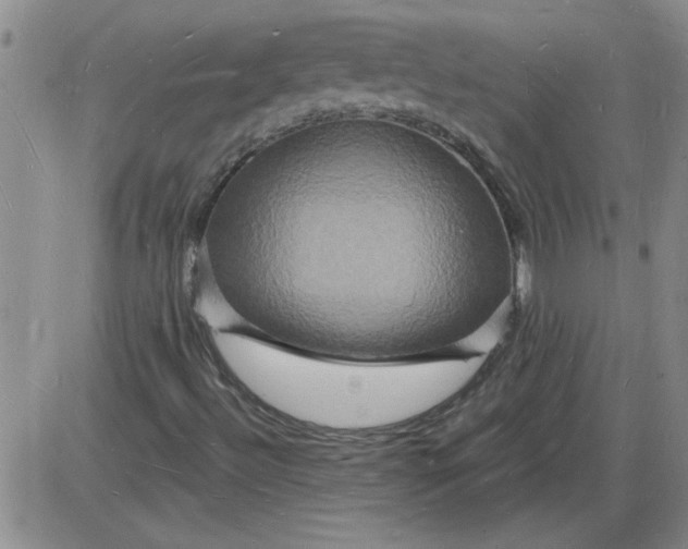 X0000085281492200703231753