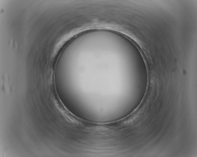 X0000085281507200703231754