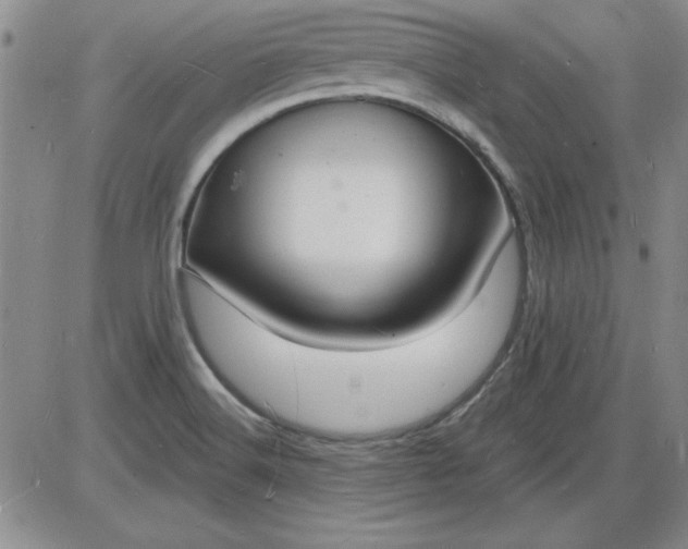 X0000085281516200703231754