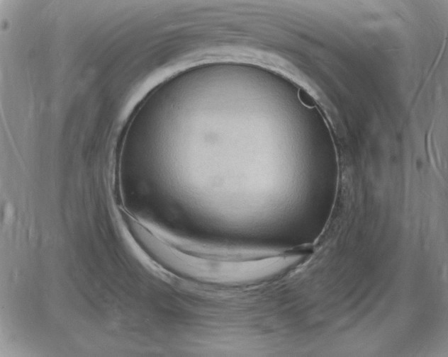 X0000085281523200703231754