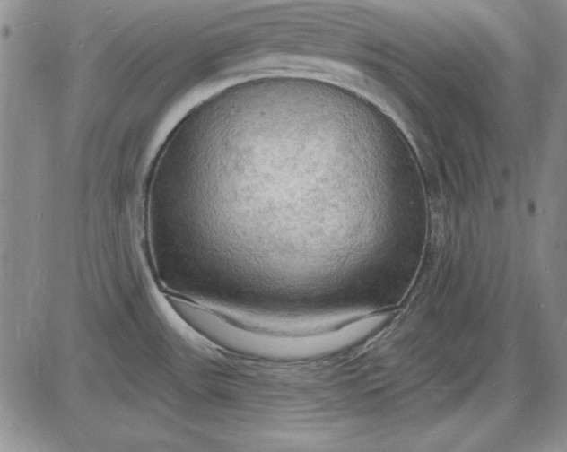 X0000085281531200703231754