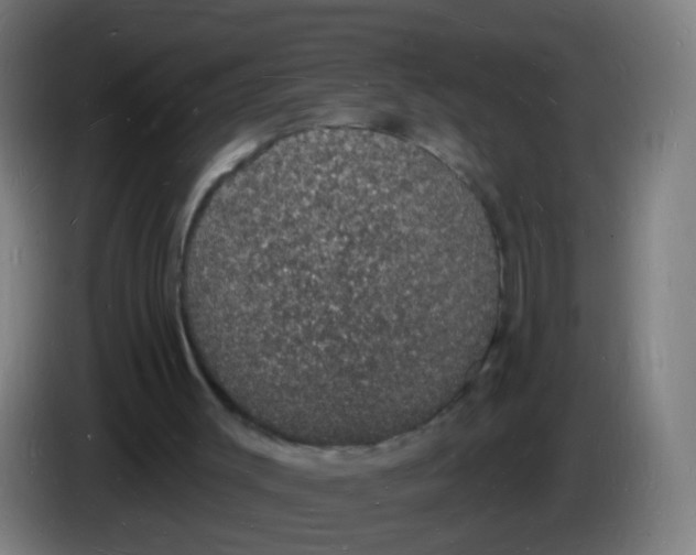 X0000085280003200703301926