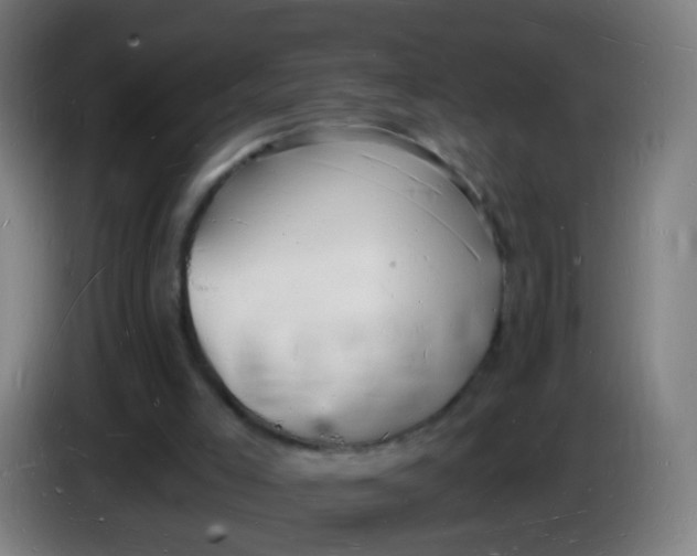 X0000085280005200703301926