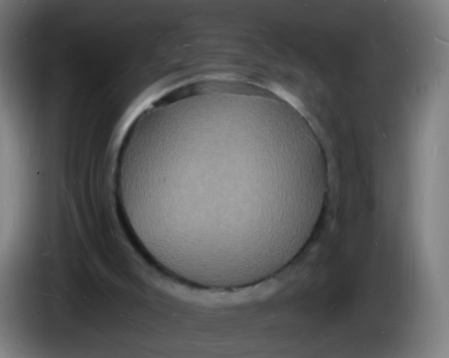 X0000085280007200703301926