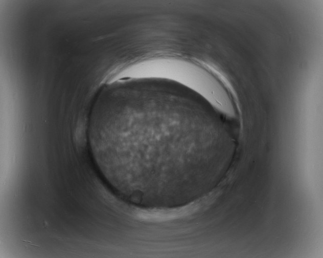 X0000085280009200703301926