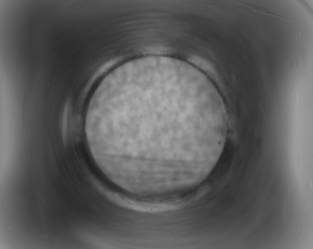 X0000085280012200703301926