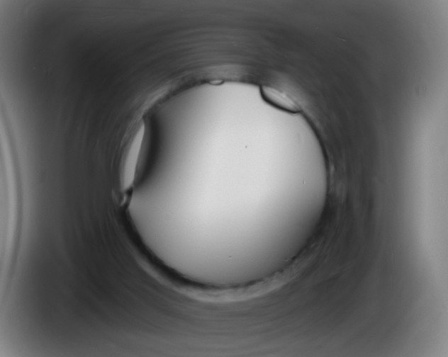 X0000085280013200703301926