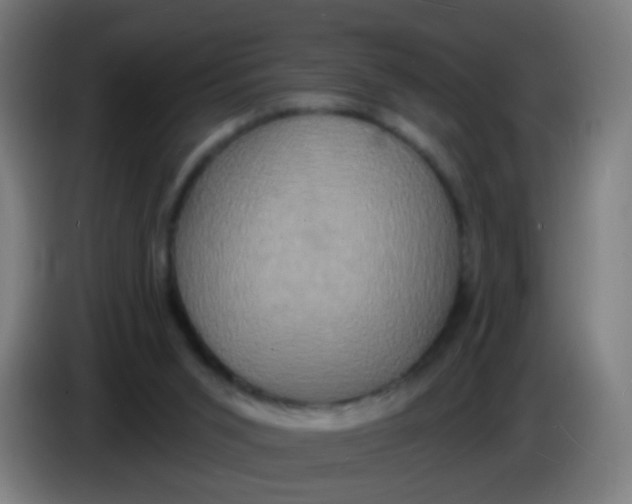 X0000085280015200703301926