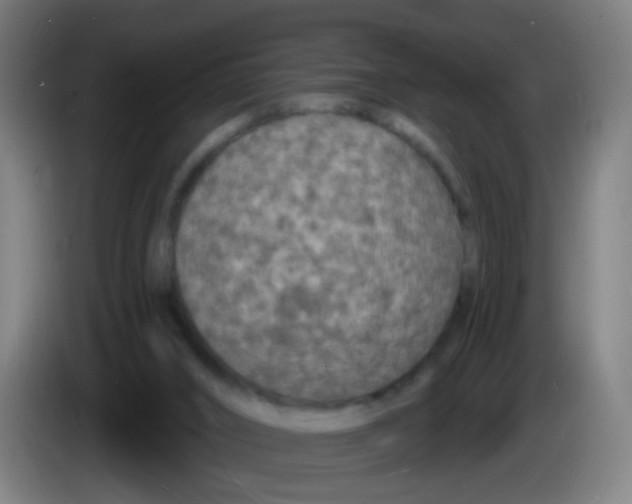 X0000085280016200703301926