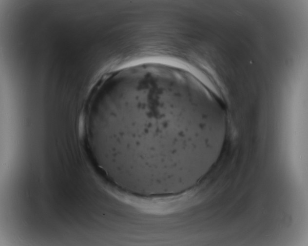 X0000085280019200703301926