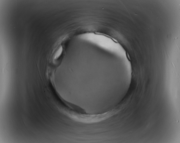 X0000085280023200703301926