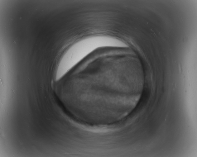 X0000085280024200703301926