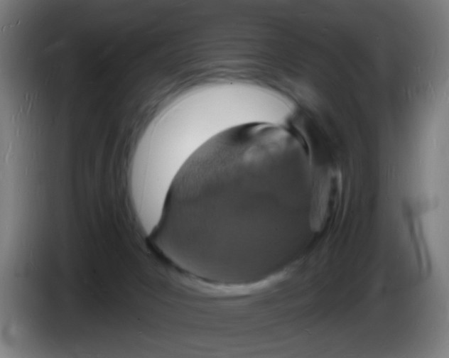 X0000085280031200703301926