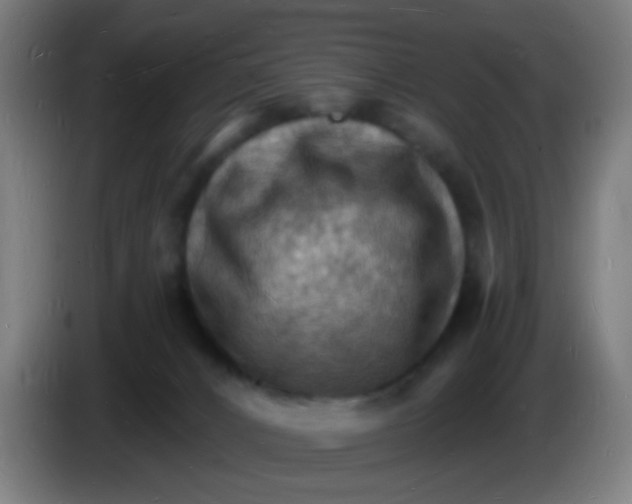 X0000085280032200703301925