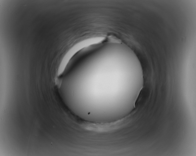 X0000085280033200703301925