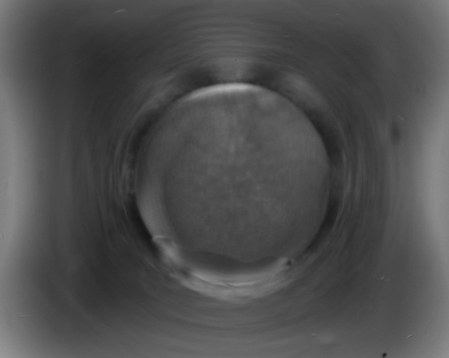 X0000085280035200703301925