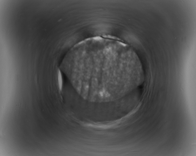 X0000085280041200703301925