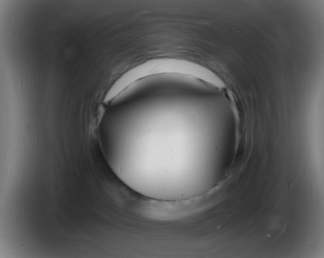 X0000085280045200703301925