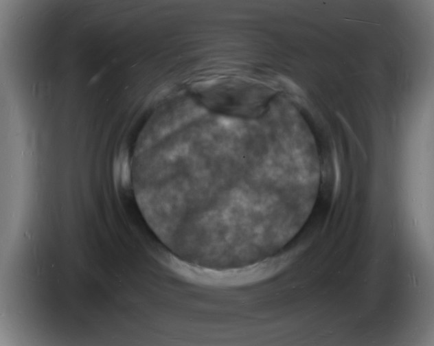 X0000085280046200703301925