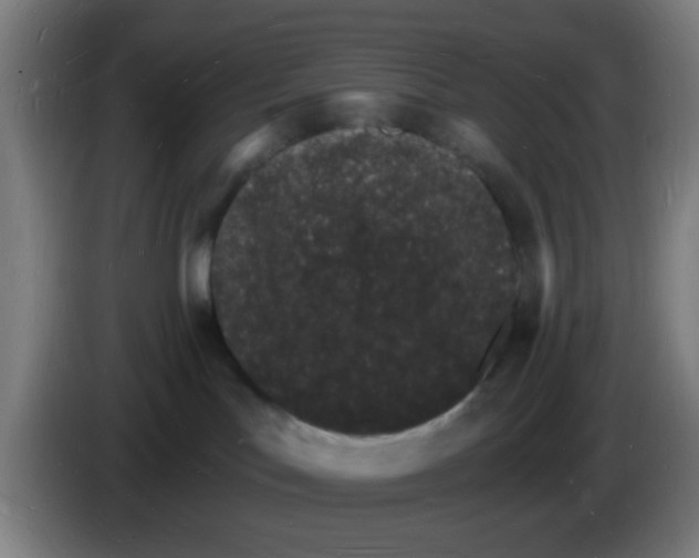 X0000085280047200703301925