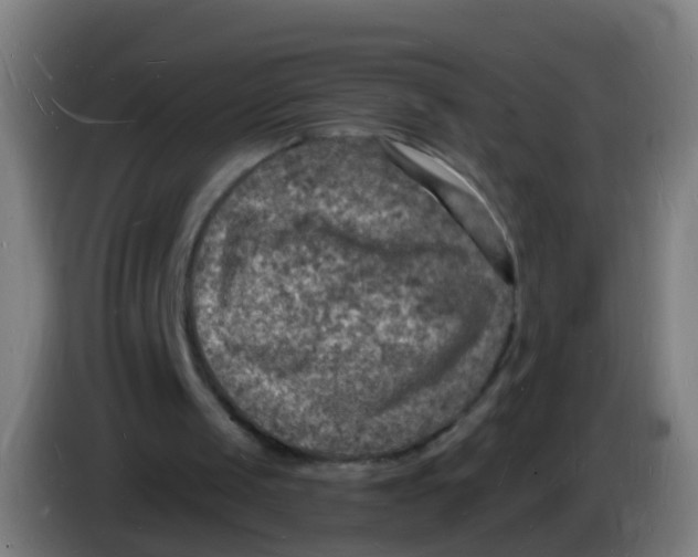 X0000085280049200703301925