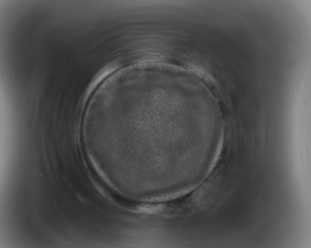 X0000085280051200703301925