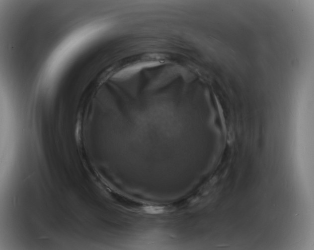 X0000085280052200703301925