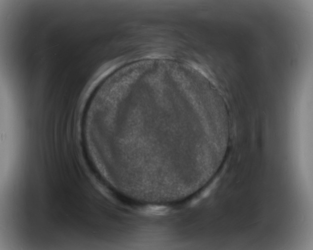 X0000085280055200703301925