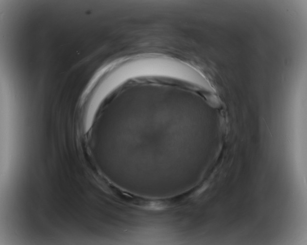 X0000085280056200703301925