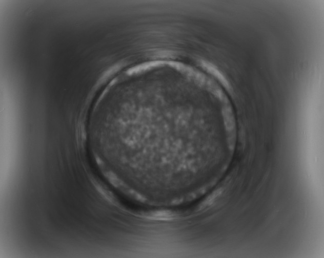 X0000085280059200703301925