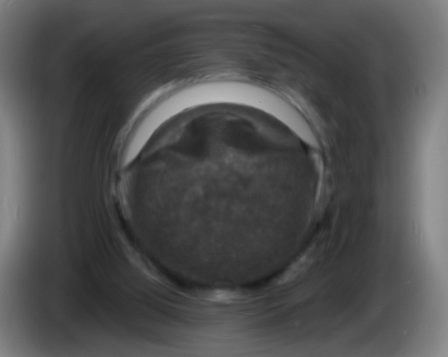 X0000085280060200703301925