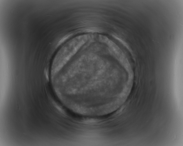 X0000085280062200703301925