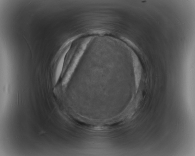 X0000085280064200703301925