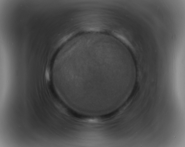 X0000085280068200703301925