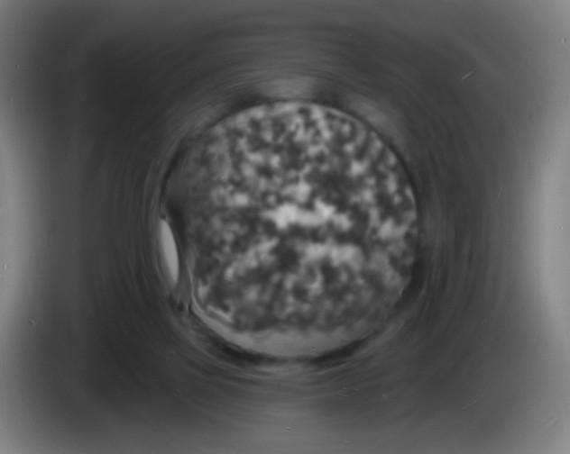 X0000085280069200703301925