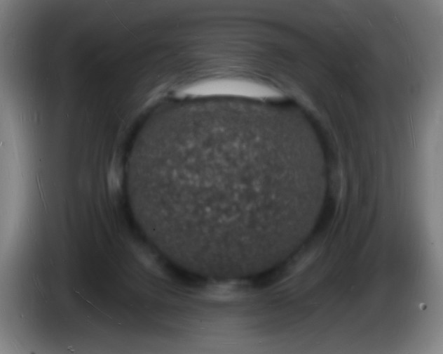 X0000085280072200703301925