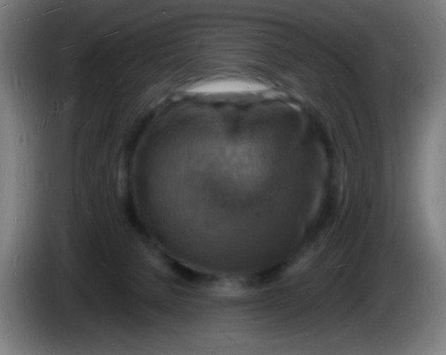 X0000085280080200703301925