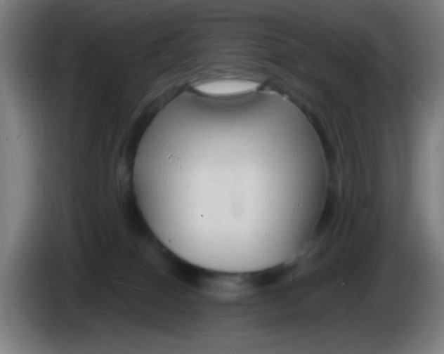 X0000085280086200703301925